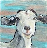 Happy Goat 2016-SOLD