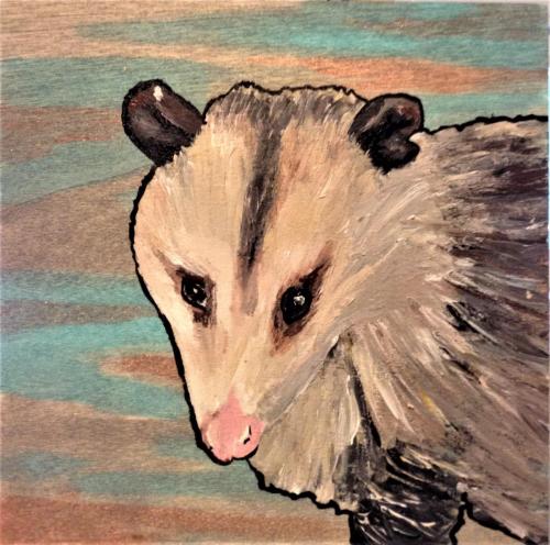 Happy Opossum 2016